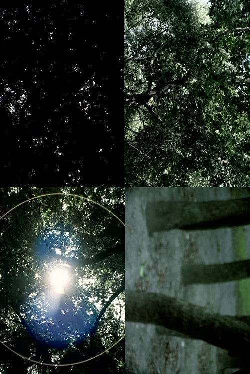 Movie poster for The Pursuit of What Was (2009)