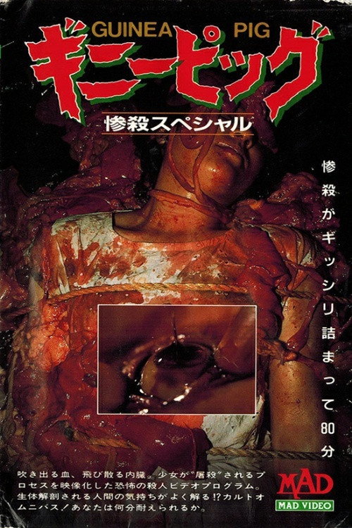 Movie poster for Guinea Pig: Slaughter Special (1991)