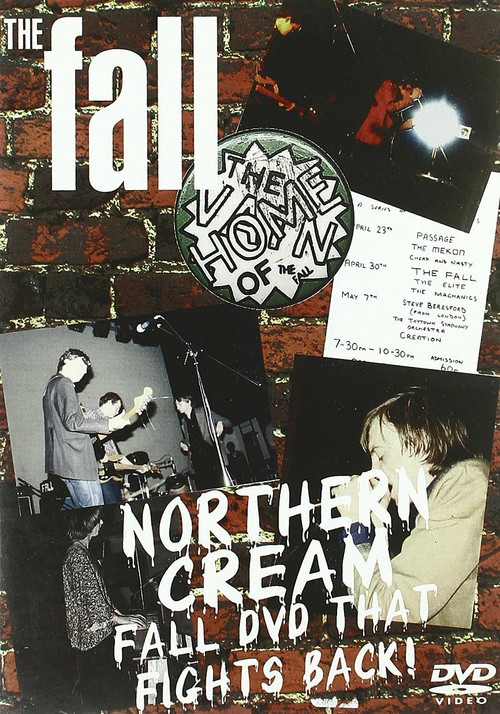 Movie poster for The Fall (2009)