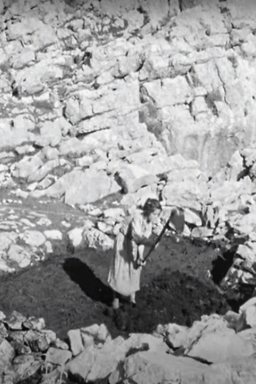 Movie poster for Prisoners of Stones (1959)