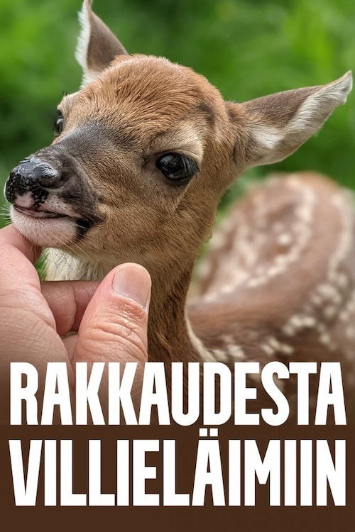 Rakkaudesta villieläimiin poster