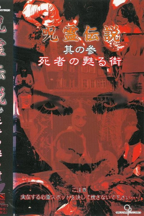 Movie poster for Curse Spirit Legend Vol.3: The Town Where the Dead Revive (2004)
