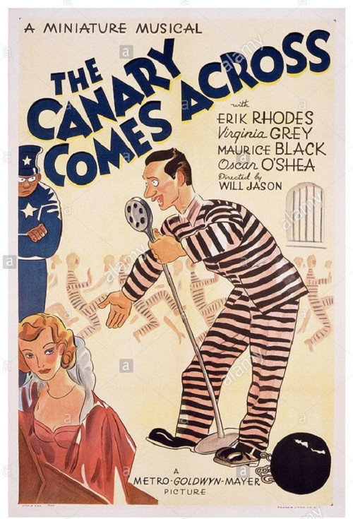Movie poster for The Canary Comes Across (1938)