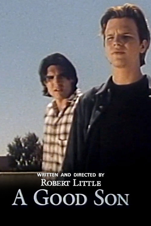 Movie poster for A Good Son (1998)
