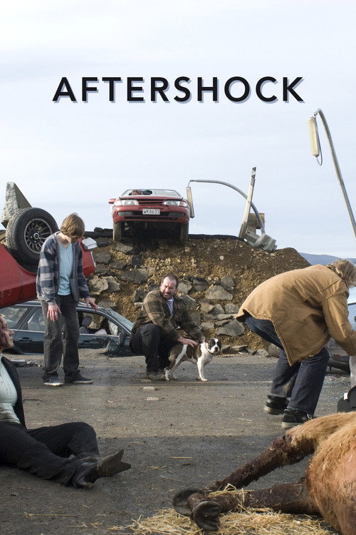 Movie poster for Aftershock (2008)