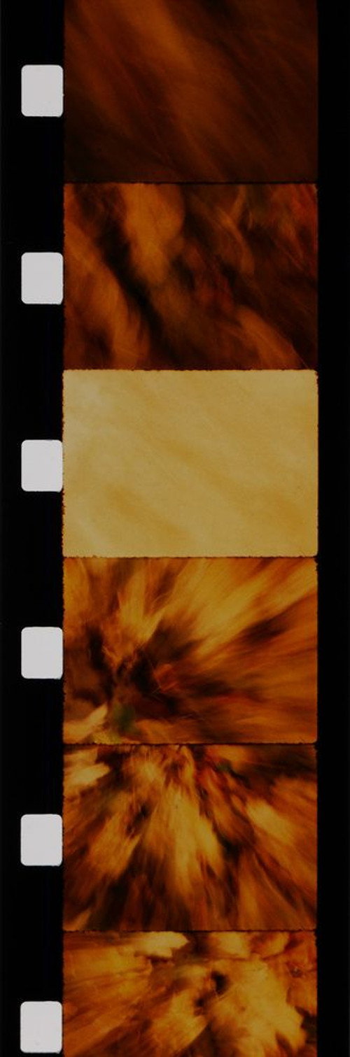 Movie poster for Feuilles (1989)