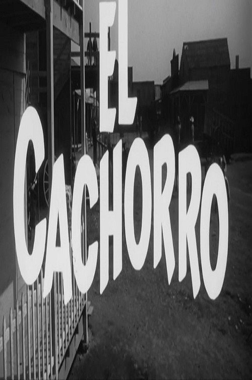 Movie poster for El cachorro (1966)