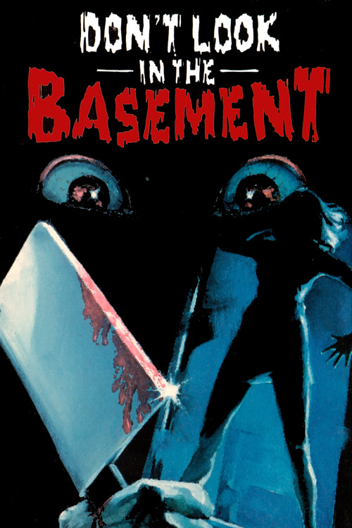 Movie poster for Don't Look in the Basement (1973)