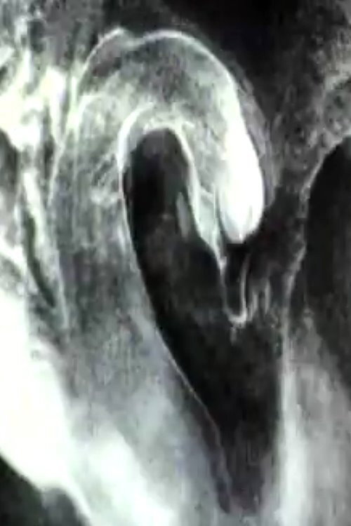 Movie poster for The Swan (1990)