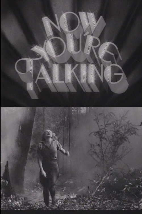 Movie poster for Now You're Talking: Australian Cinema 1930-1940 (1979)