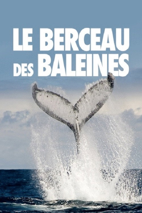 Movie poster for The Cradle of Whales (2015)