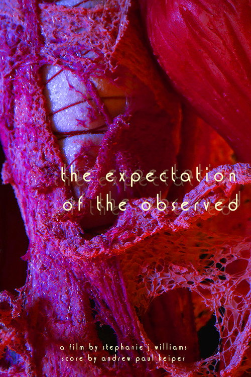 Movie poster for The Expectation of the Observed (2024)