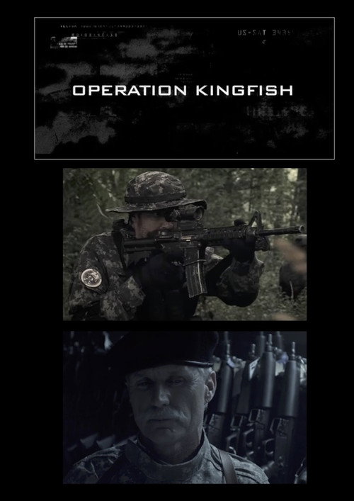 Movie poster for Find Makarov: Operation Kingfish (2011)