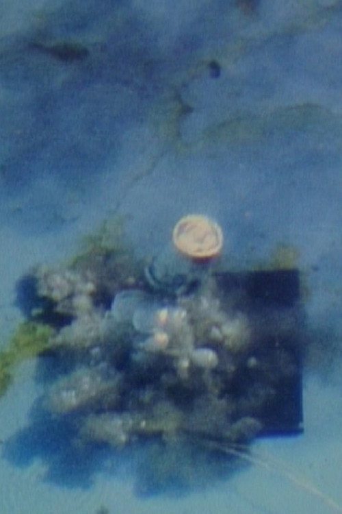 Movie poster for Contained Under Water (1980)