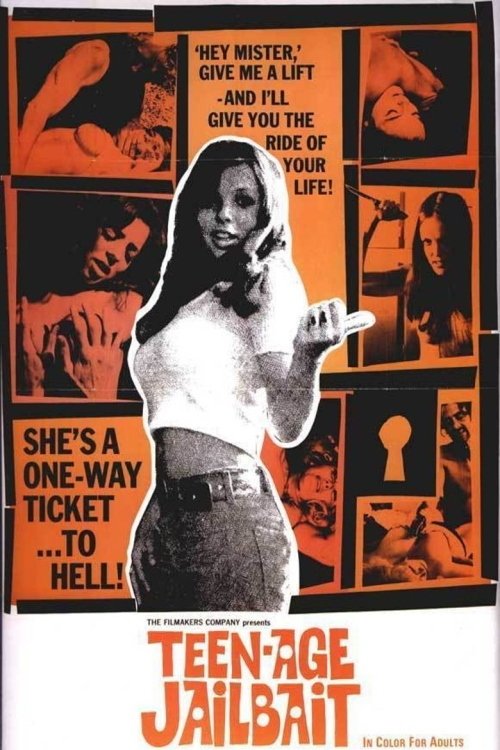 Movie poster for Teen-Age Jail Bait (1973)