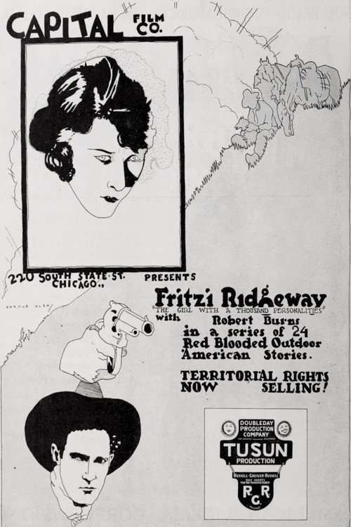 Movie poster for A Woman's Vengeance (1920)