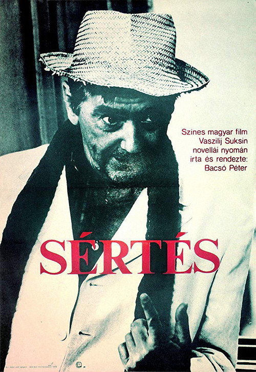 Movie poster for The Insult (1983)
