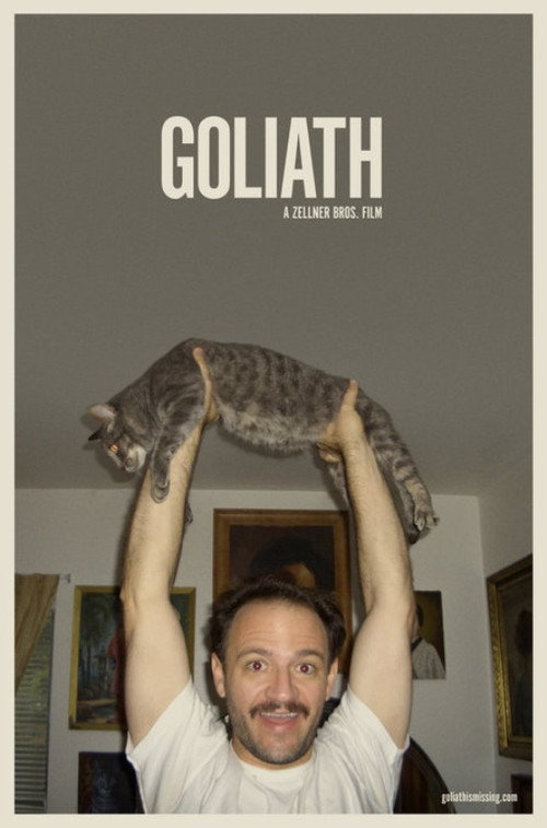Movie poster for Goliath (2008)