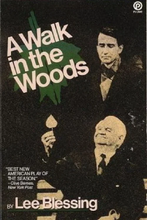 Movie poster for A Walk in the Woods (1988)