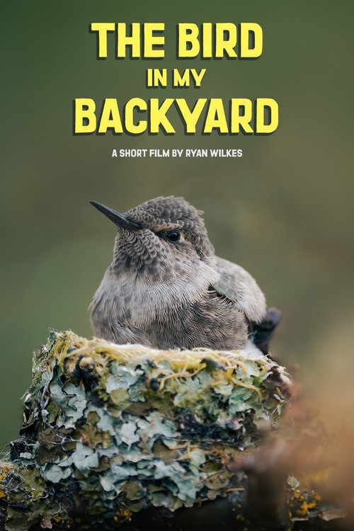 Movie poster for The Bird in My Backyard (2025)