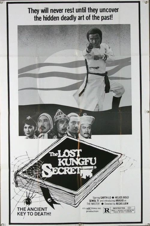 Movie poster for The Lost Kung Fu Secrets (1979)