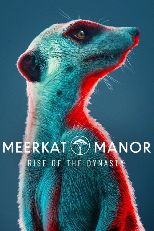 Meerkat Manor: Rise of the Dynasty poster