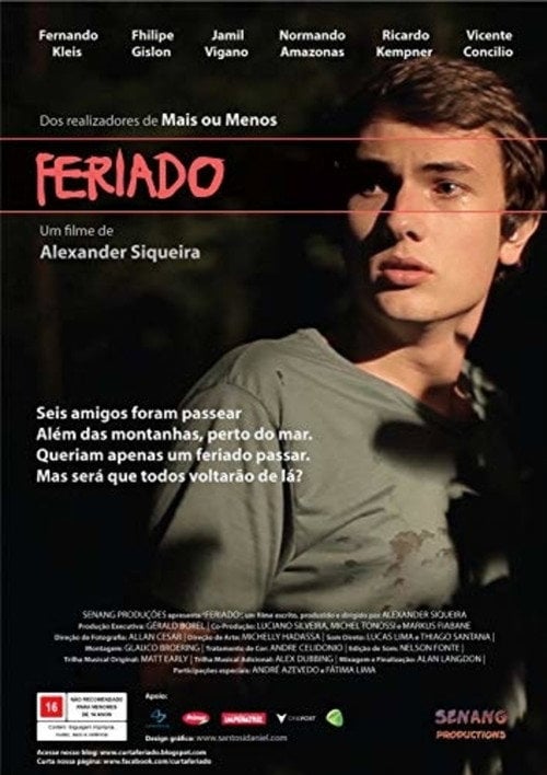 Movie poster for Holiday (2013)