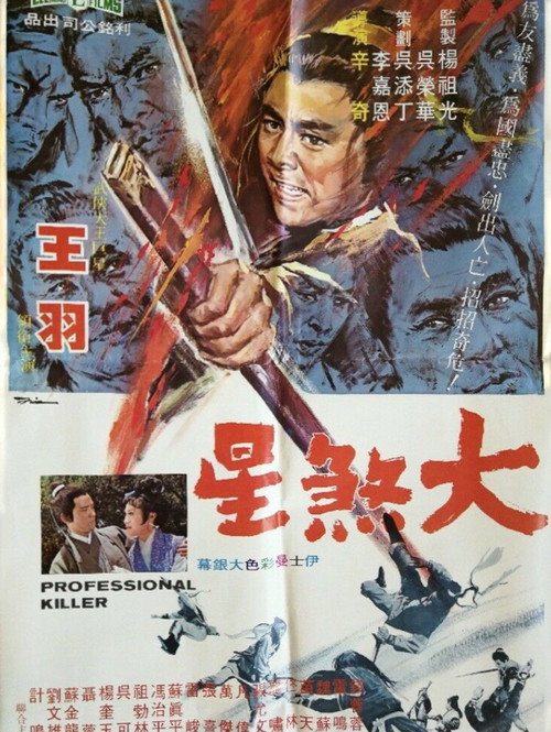 Movie poster for The Professional Killer (1971)
