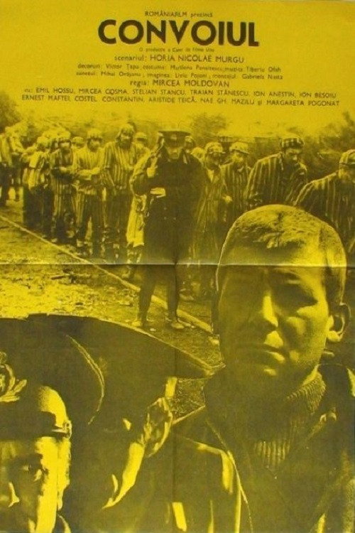 Movie poster for The Convoy (1981)