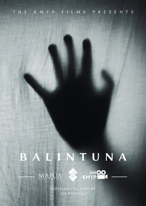 Movie poster for Balintuna (2020)