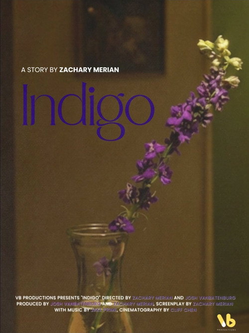 Movie poster for INDIGO (2026)
