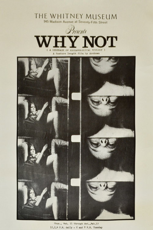 Movie poster for Why Not: A Serenade of Eschatological Ecology (1970)