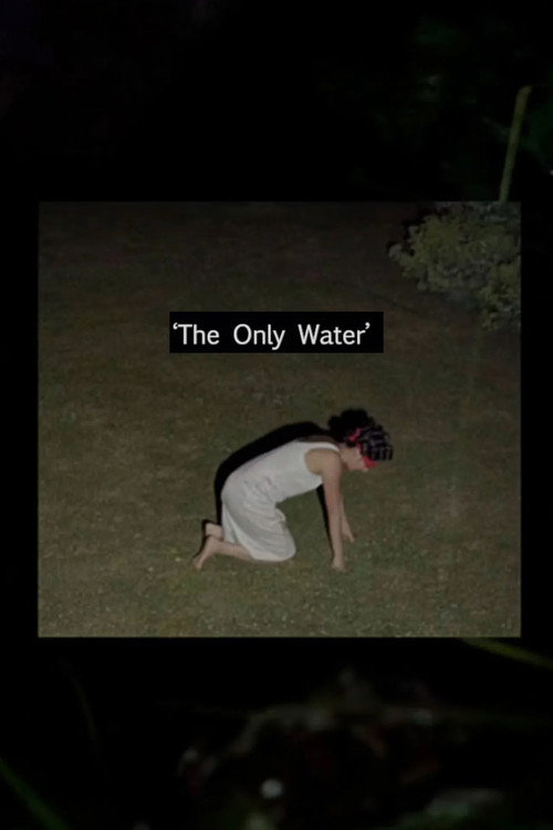 Movie poster for THE ONLY WATER (2018)