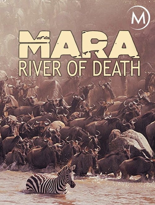 Movie poster for Mara: River of Death (2016)