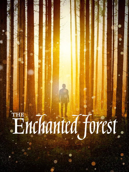 Movie poster for The Enchanted Forest (2020)
