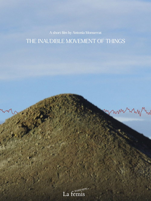 Movie poster for The inaudible movement of things (2024)