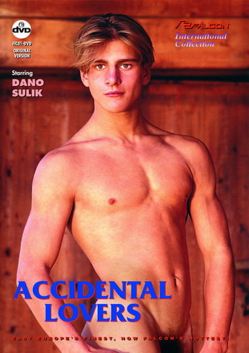 Movie poster for Accidental Lovers (1993)