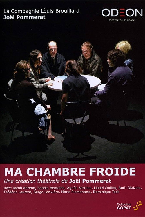 Movie poster for Ma chambre froide (2013)