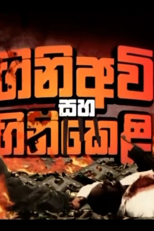 Firearms and Fireworks poster