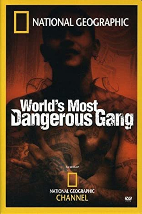 Movie poster for World's Most Dangerous Gang (2005)