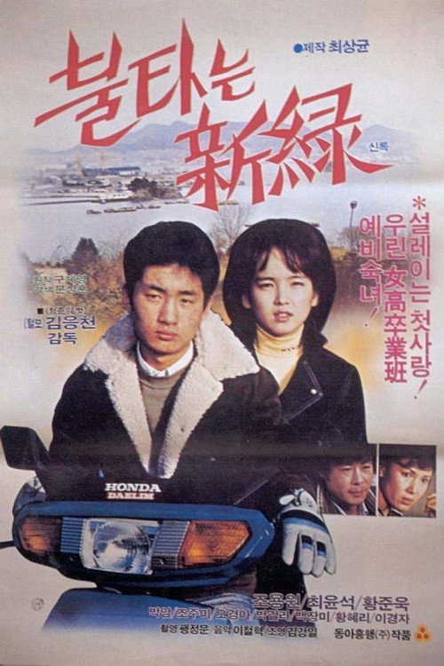 Movie poster for A Country Affair (1984)