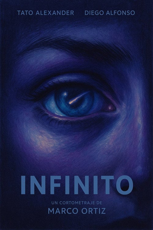 Movie poster for Infinito (2015)