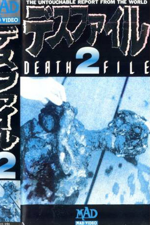 Movie poster for Death File 2 (1989)