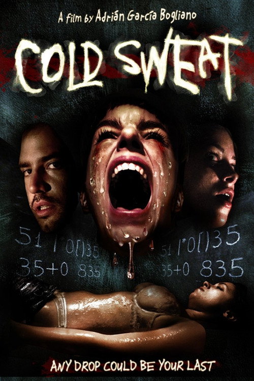 Movie poster for Cold Sweat (2010)
