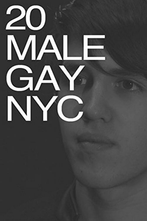 Movie poster for 20MALEGAYNYC (2012)