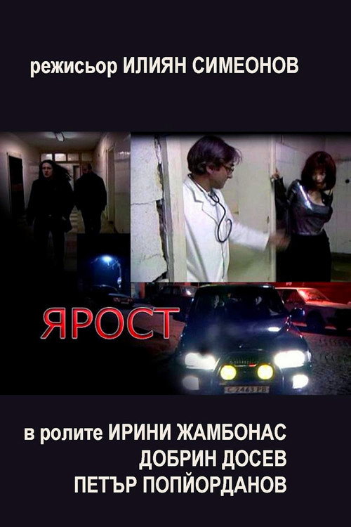 Movie poster for The Rage (2002)