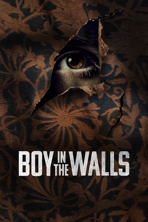 Movie poster for Boy in the Walls (2023)