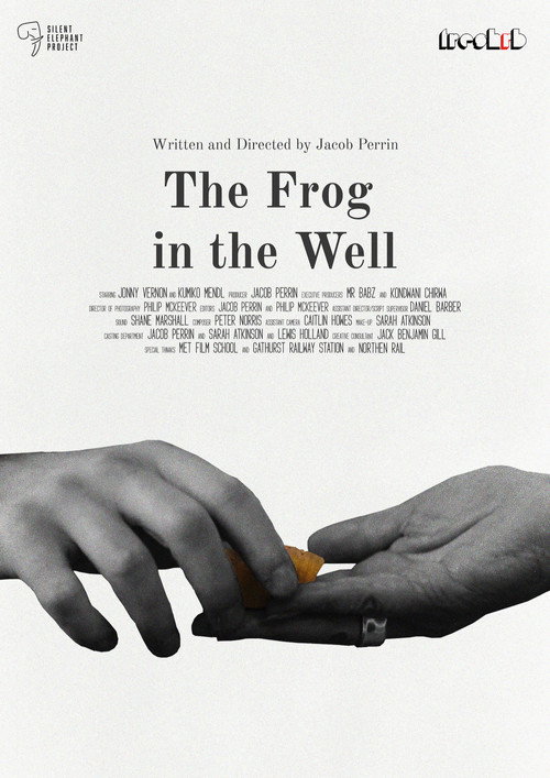Movie poster for The Frog in The Well (2025)