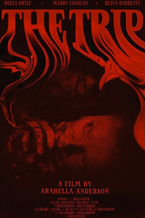 Movie poster for The Trip (2024)