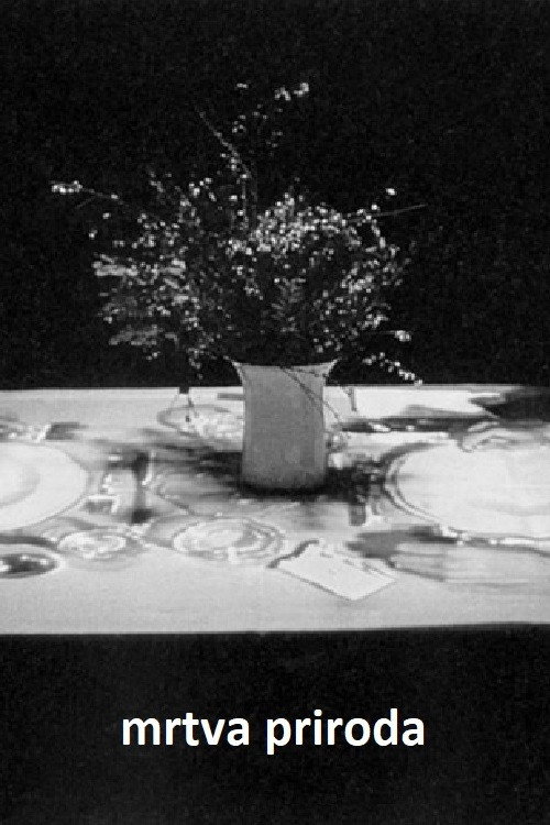 Movie poster for Still Life (1974)